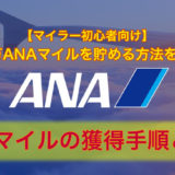 年間30万ANAマイルを貯める獲得手順とコツ