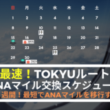 tokyu-root-schedule-min